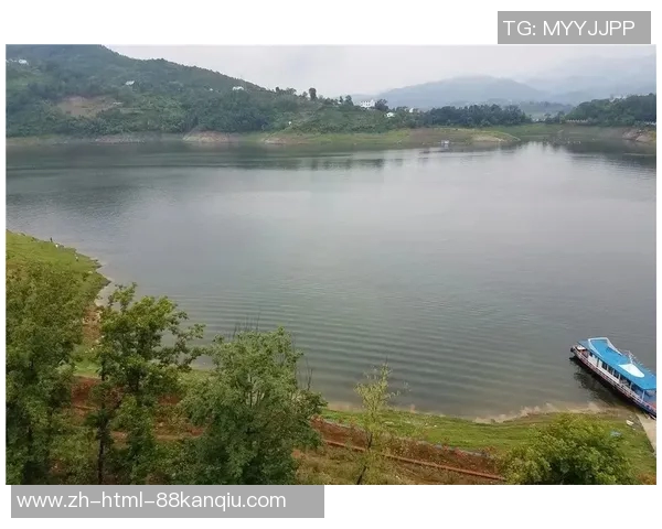 足球即时盘分析与预测技巧助你精准把握赛事动态与投注机会